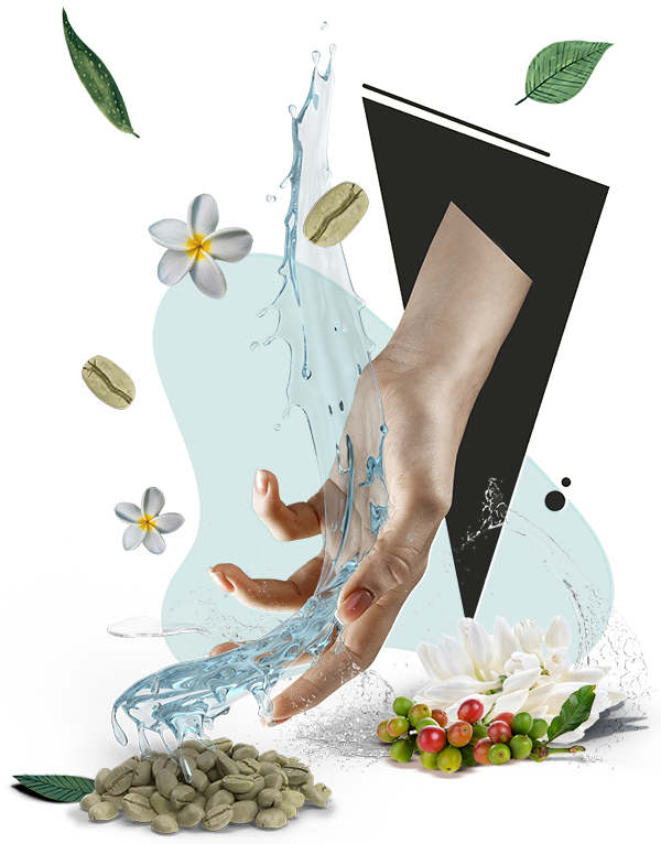 About-RGC-Coffee-Hand-collage-concept About-RGC-Coffee-Hand-collage-concept