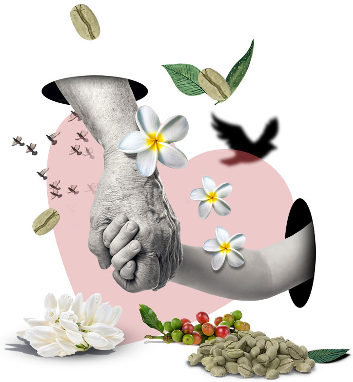 About-RGC-Coffee-Hand-collage-concept-2 About-RGC-Coffee-Hand-collage-concept-2
