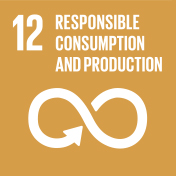12. Responsible Consumption and Production