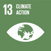 Global-goals-icons-logo