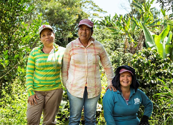 A portrait of three of the farmers helped by the Las Manos project