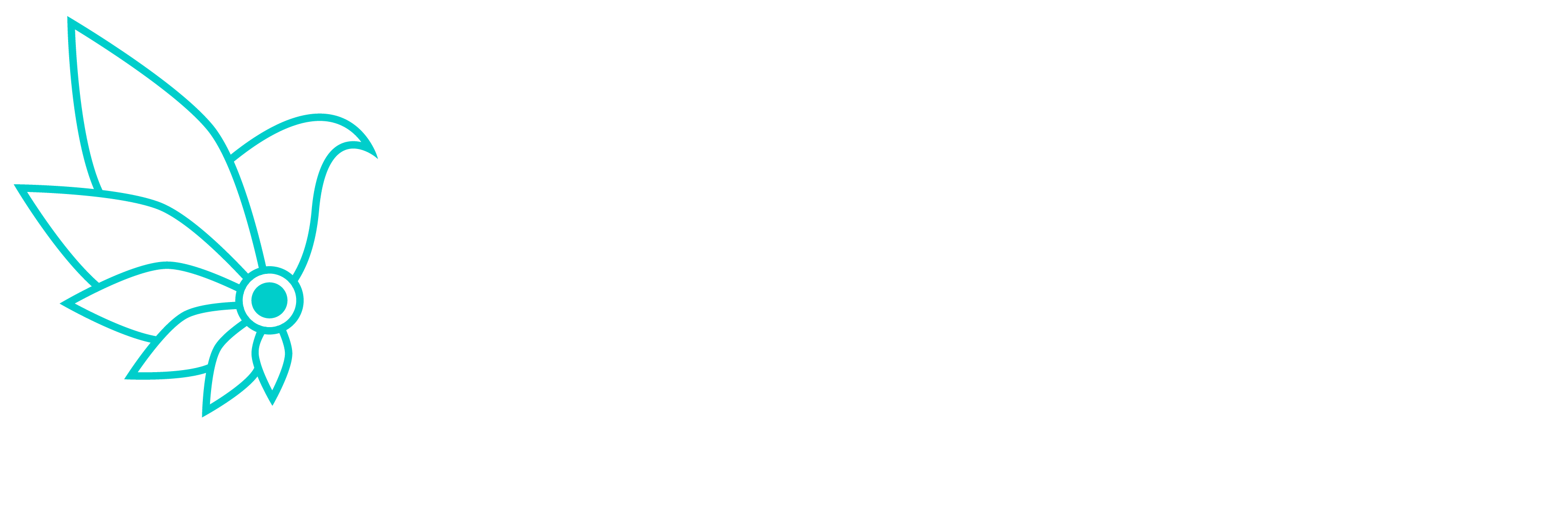 Café de specialité Greensource