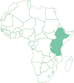 Origins-Africa