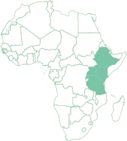 Origins-Africa Origins-Africa
