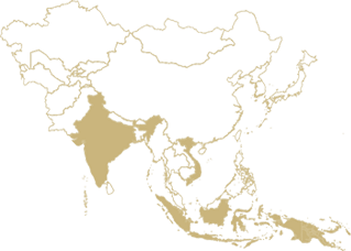 Origins-Asia Origins-Asia