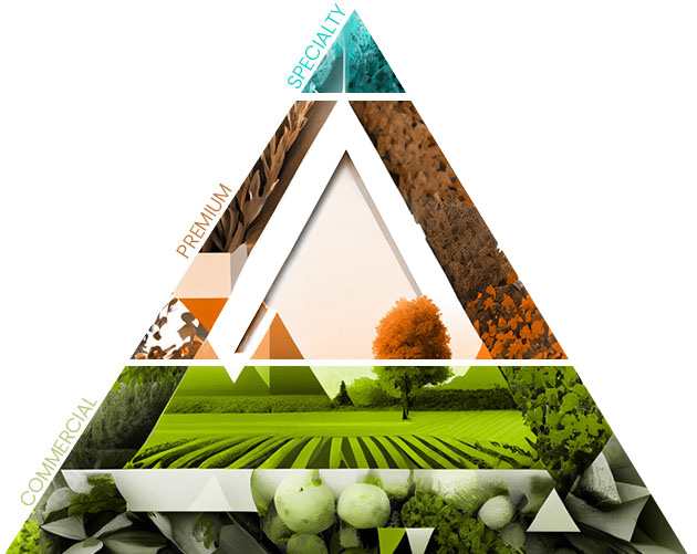 The three grades of coffee: Commercial, Premium and Specialty