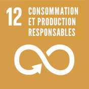 12. Responsible Consumption and Production